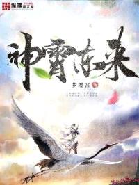 神霄东来封面