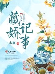 藏娇记事封面