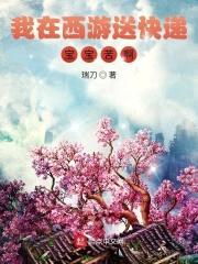 我在西游送快递，宝宝苦啊封面