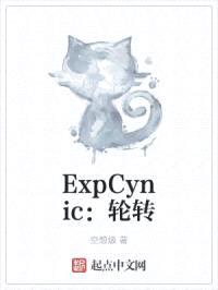 ExpCynic：无限轮转封面