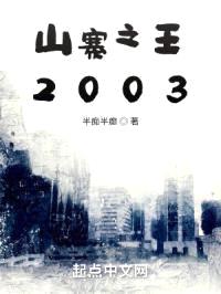 山寨之王2003封面