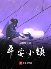 平安小镇封面