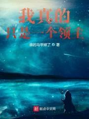 我真的只是一个领主封面