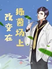 改变在绿茵场上封面