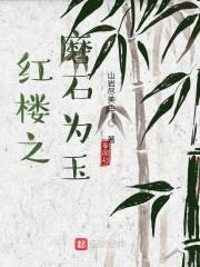 红楼之磨石为玉封面