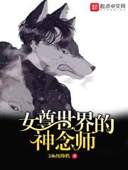 女尊世界的神念师封面