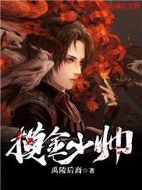 摸金少帅封面