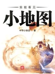 我能看见小地图封面