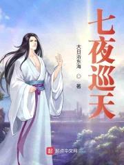 七夜巡天封面