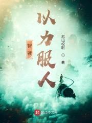 智者以力服人封面