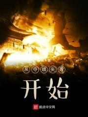 从夺嫡失败开始封面