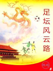 足坛风云路封面