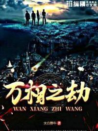 万相之劫封面