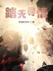 踏天寻情封面