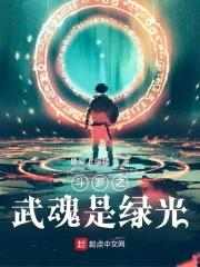 从斗罗开始：武魂是一道光封面