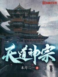 天道神宗封面