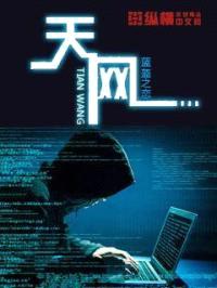 天网封面