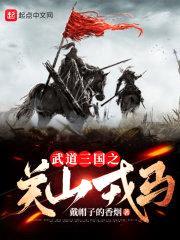 武道三国之关山戎马封面
