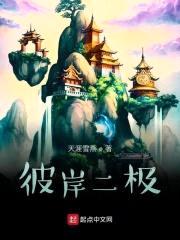 彼岸二极封面