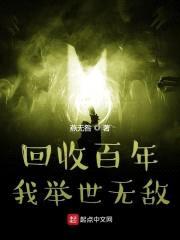回收百年，我举世无敌封面