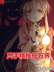 只手横推亿万界封面