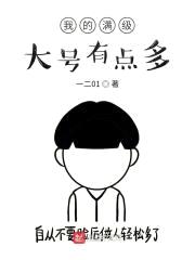 我的满级大号有点多11封面
