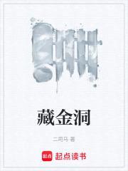 藏金洞封面