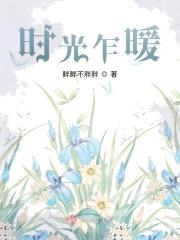 时光乍暖封面