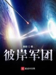 彼岸军团封面