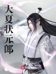 大夏状元郎封面