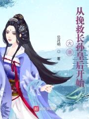 大唐从挽救长孙皇后开始封面