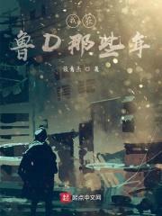 我在鲁D那些年封面