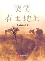 哭笑在土地上封面