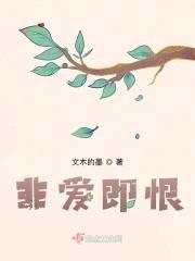 非爱即恨封面