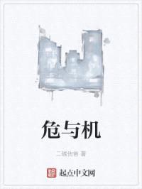 危与机封面