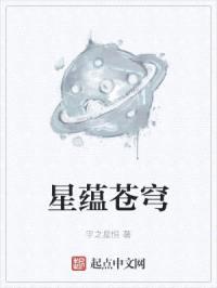 星蕴苍穹封面