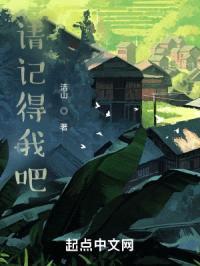 请记得我吧封面