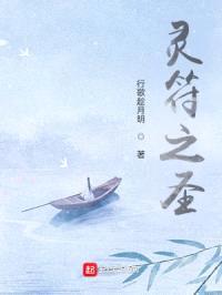 灵符之圣封面