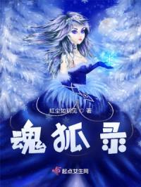 魂狐录封面