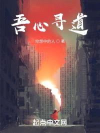 吾心寻道封面