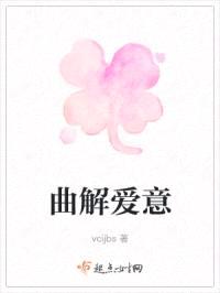 曲解爱意封面