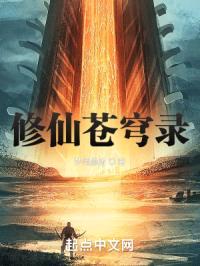 修仙苍穹录封面