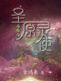 圣源灵使封面