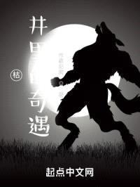 古井里的奇遇封面