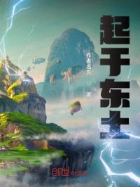 起于东土封面