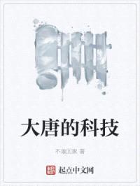 大唐的科技封面