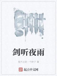 剑听夜雨封面