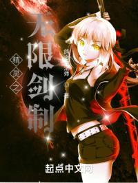 精灵之无限剑制封面