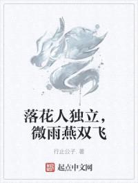 落花人独立，微雨燕双飞封面