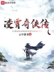 凌霄奇侠传封面
